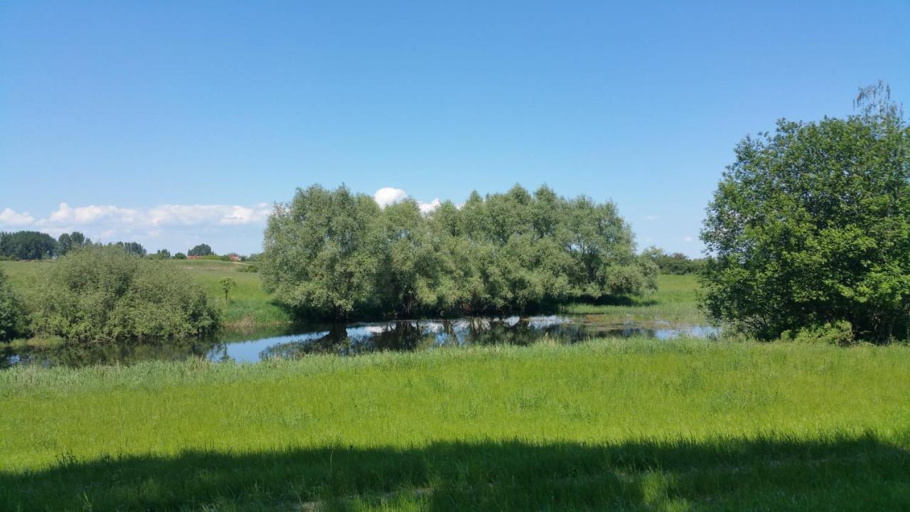 Haus An Der Pferdekoppel Am Blankenburger See Blankenburg  Eksteriør billede
