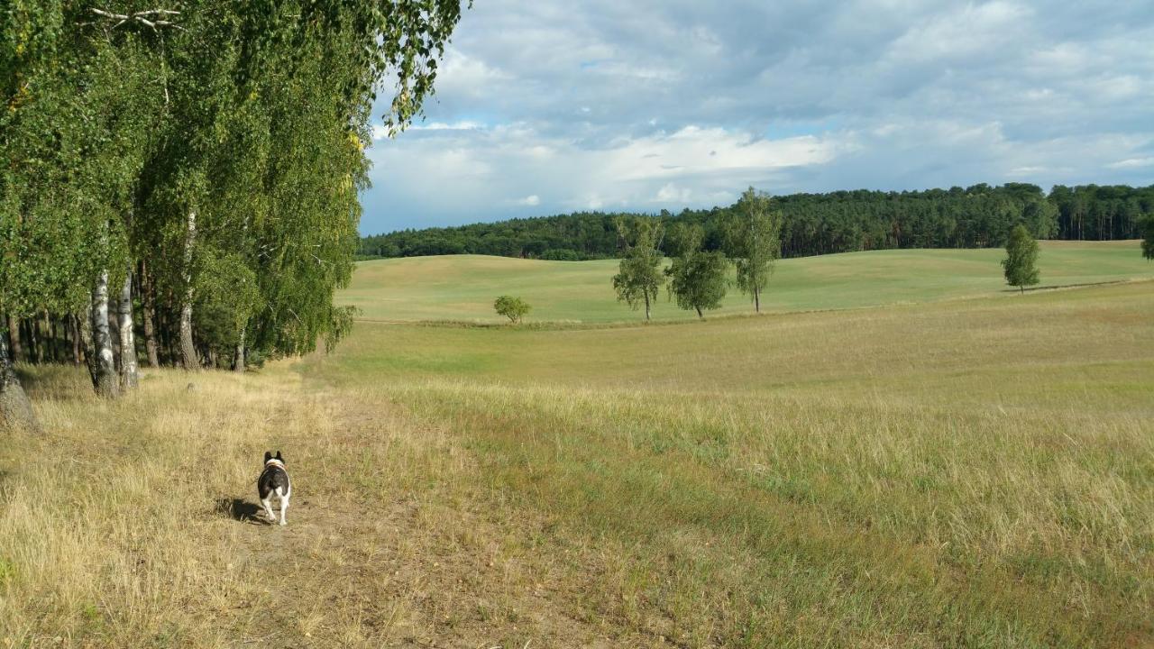 Haus An Der Pferdekoppel Am Blankenburger See Blankenburg  Eksteriør billede