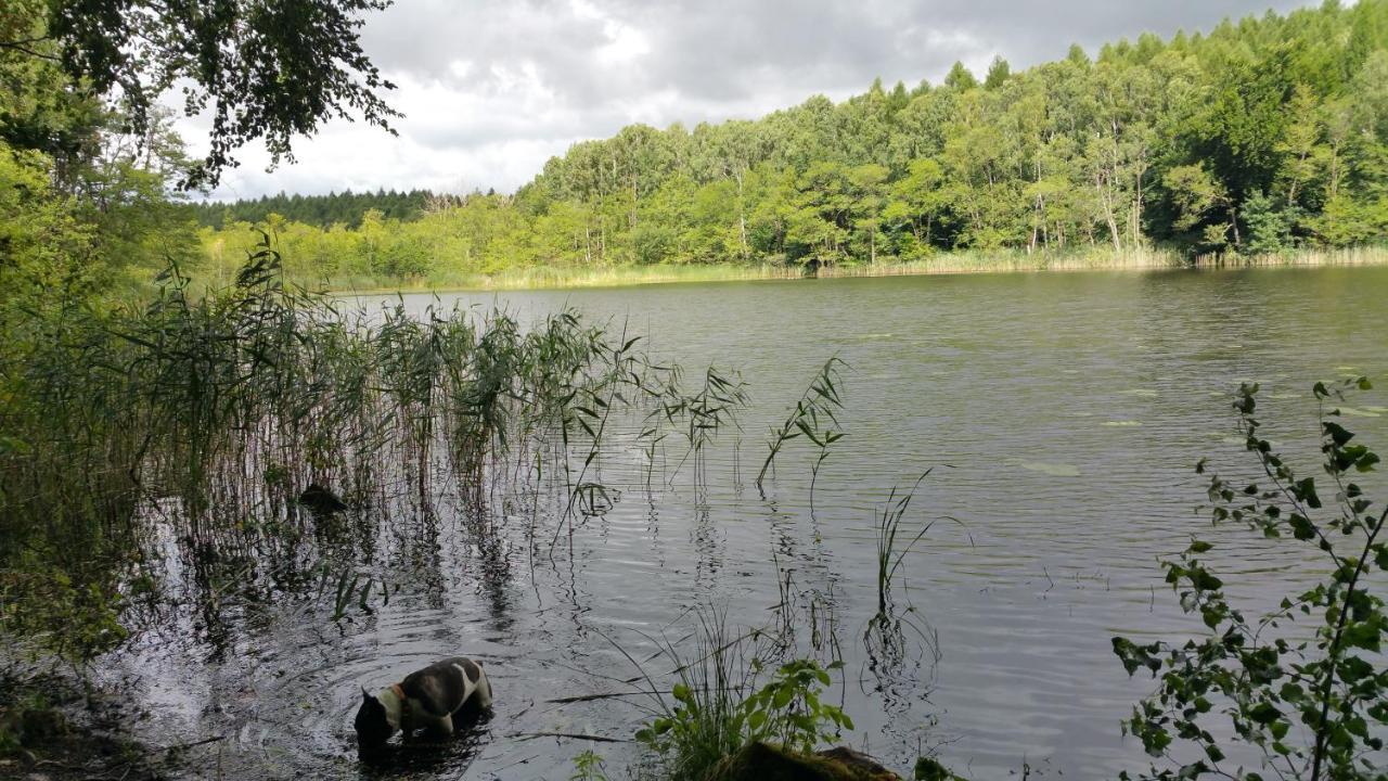 Haus An Der Pferdekoppel Am Blankenburger See Blankenburg  Eksteriør billede
