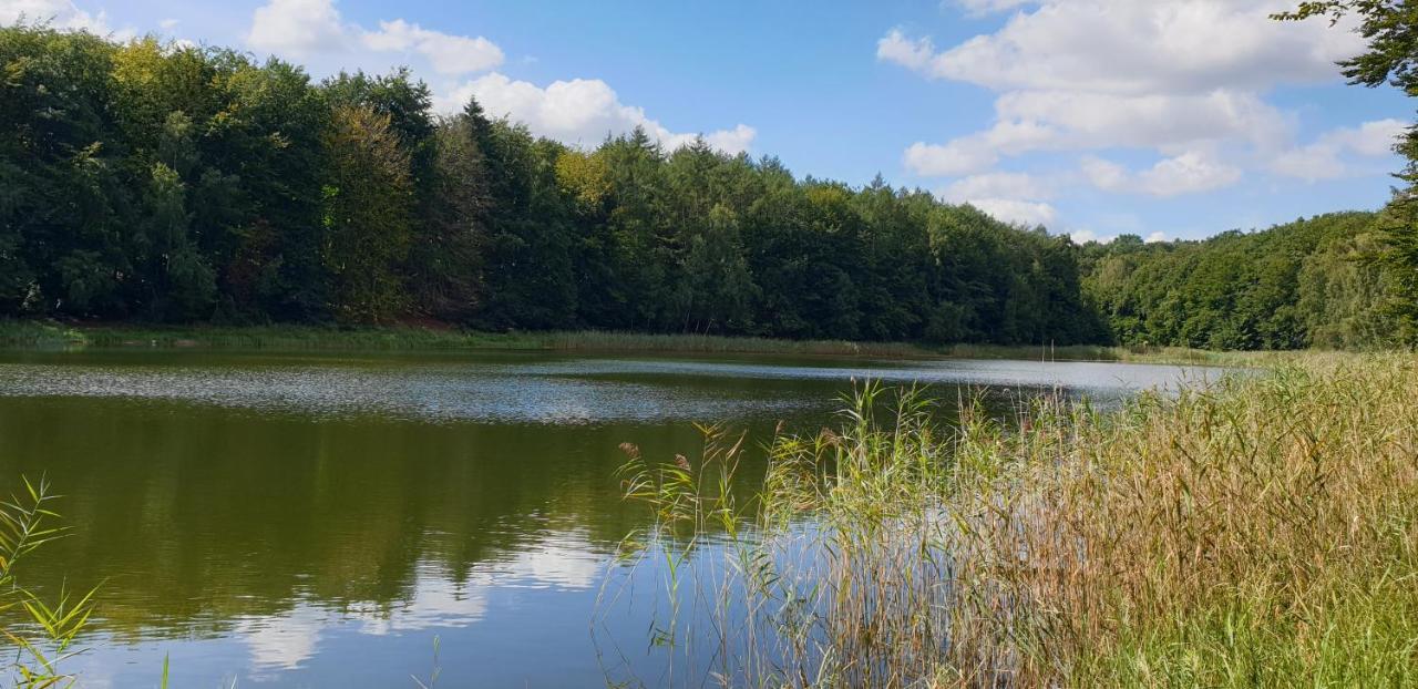 Haus An Der Pferdekoppel Am Blankenburger See Blankenburg  Eksteriør billede